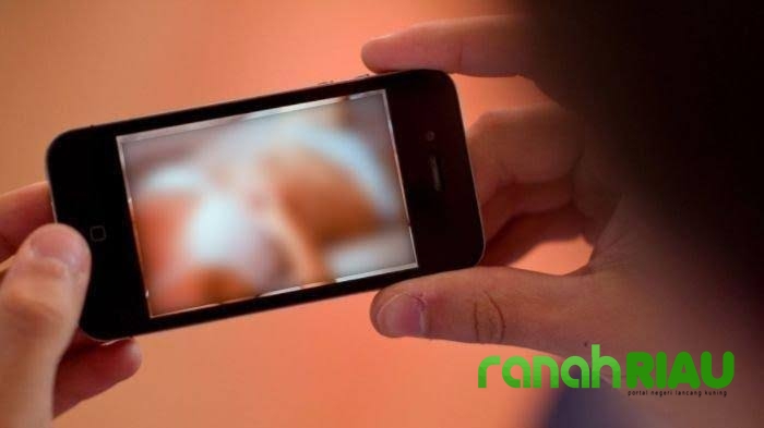 Jual Poto dan Video Tak Senonoh, Pelaku Asal Jambi Ditangkap Sat Reskrim Polres Inhil